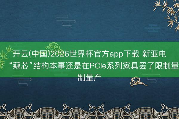 开云(中国)2026世界杯官方app下载 新亚电子：“藕芯”结构本事还是在PCIe系列家具罢了限制量产