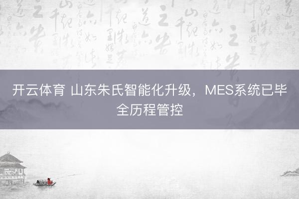 开云体育 山东朱氏智能化升级，MES系统已毕全历程管控