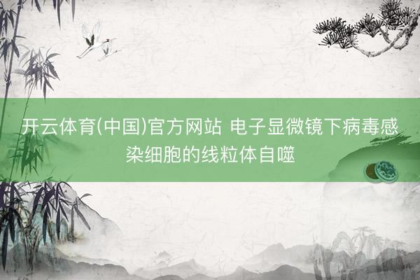 开云体育(中国)官方网站 电子显微镜下病毒感染细胞的线粒体自噬