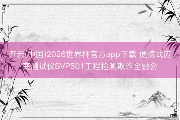 开云(中国)2026世界杯官方app下载 便携式应变测试仪SVP501工程检测欺诈全融会