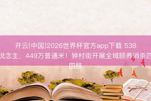 开云(中国)2026世界杯官方app下载 538东说念主、449万普通米！钟村街开展全域颐养消杀四肢